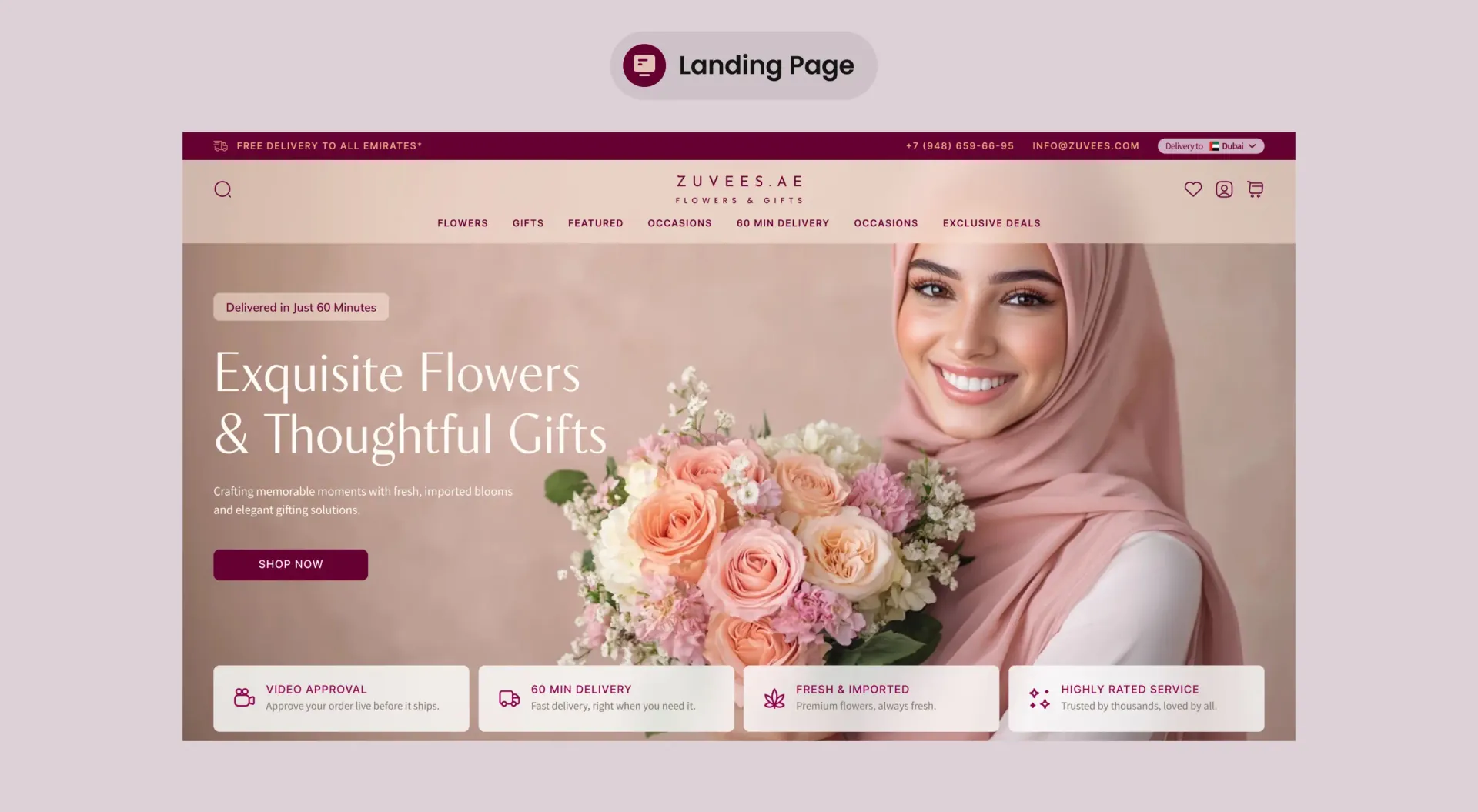 The Zuvees landing page, full length.